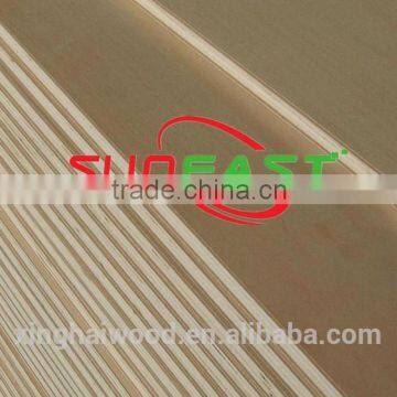 Linyi Suneast Birch film faced shuttering plywood(logo available) from Linyi City
