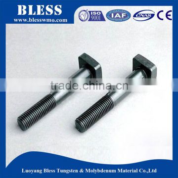 Customized moly screw for sale molybdenum product