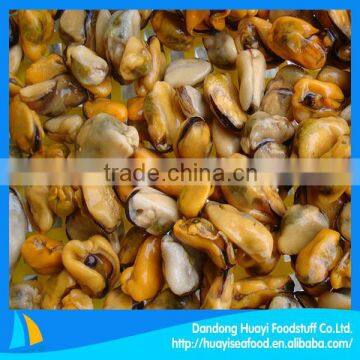 frozen cooked green mussel meat
