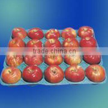 small paper pulp fruit tray