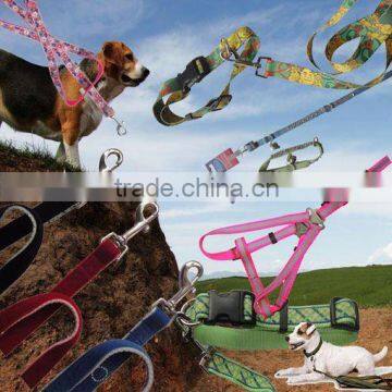 pretty cartoon pet collar and leashes