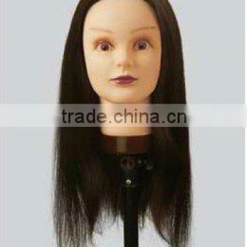 hair mannequin head training african mannequin head