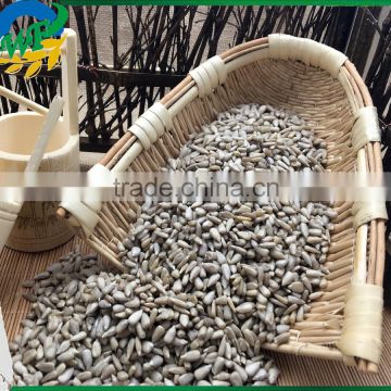 Chinese sunflower seed kernel 5009/0409/3638/363 fengkui type