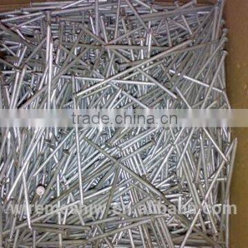 Black Common Wire Nail/Common Iron Wire Nail