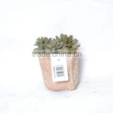 Mixed Green Artificial Succulent Plant In Color Pot