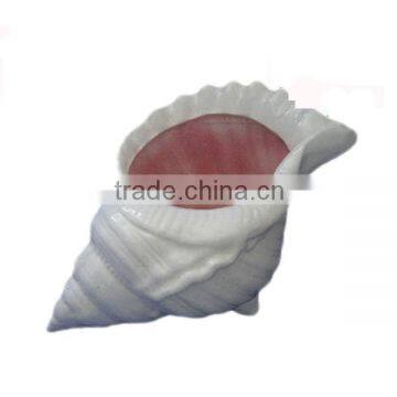 High quality wholesale sea shell handicrafts