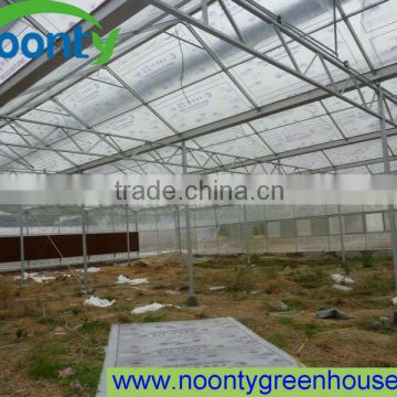 Galvanized Steel Frame Greenhouse