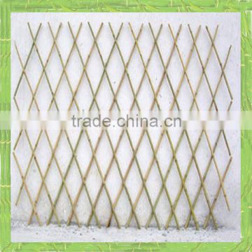 Bamboo trellis