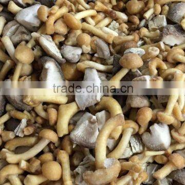 IQF Frozen Shiitake Mushroom Whole/Cuts/Slices photo-5