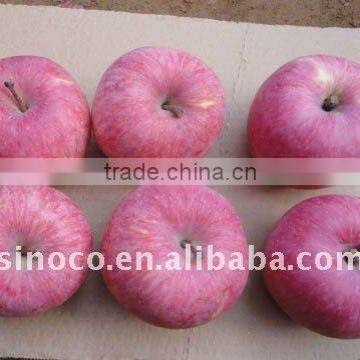 Chinese Fuji Apple