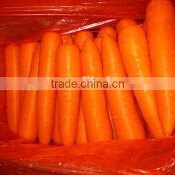 Chinese fresh carrot 2L