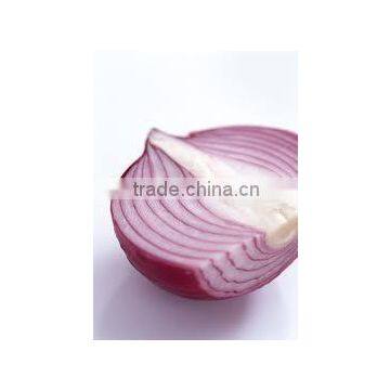 onion ( yellow - red - white - gold )