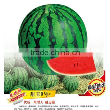 Hybrid Watermelon Seeds For Planting-Sweet King 0 F1