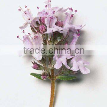 Thymol
