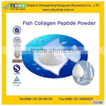 GMP factory supply best Selling Fish Collagen