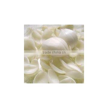 Lilium brownii