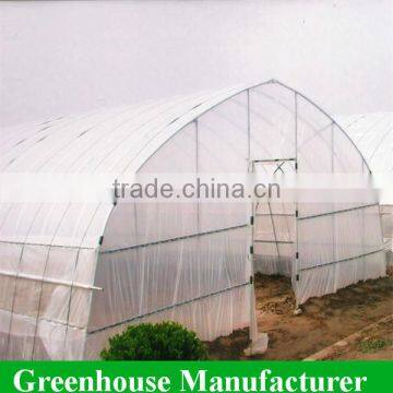 Cheap single span tunnel film greenhouse with Arch shape For Sale