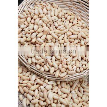 Chinese New Crop Fried Peanut