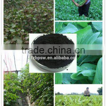 Seaweed Type and Organic Fertilizer Manufacturing Plant