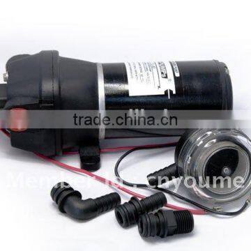 Singflo 24v dc Water Pump/dc Water Pump/water Fountain Pump