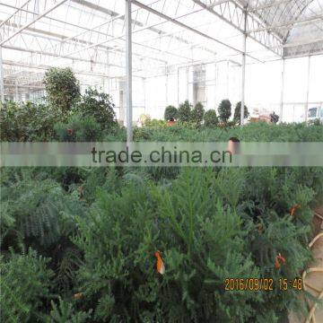 Multi-span Galvanized Greenhouse photo-4