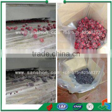 China Industrial Sweet Corn Quick Freezing IQF,Sweet Corn Quick Freezing Line,Vegetable IQF Line photo-6