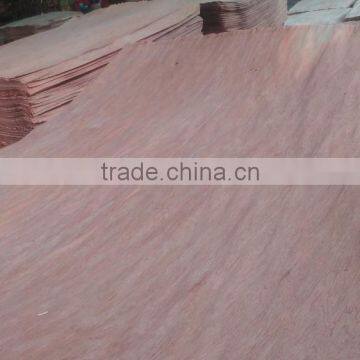 Linyi Factory Rotary Cut Grade a b c 0.30mm 4'x8' Bintangor Face Veneer photo-4