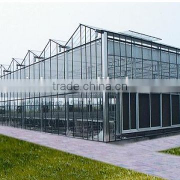 Hot sale agriculture glass covering greenhouse shade /green-house