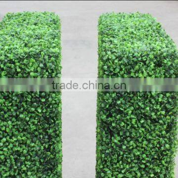 CHY040819 Home Artificial Hedge, Garden Golden Grass Hedge Suppliers photo-5