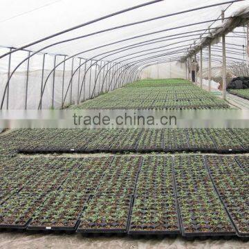 OEM Design Thermoformed Agricultural Plastic Pallets photo-3