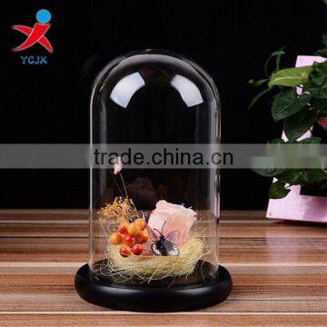 clear decorative glass dome with black wooden base