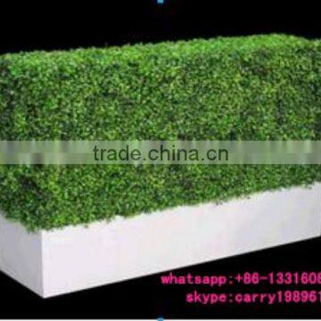 LXY072018 christmas decoration plastic artificial boxwood hedge with pots