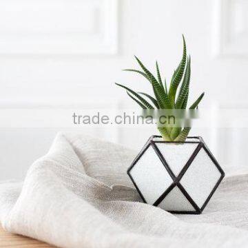 Gardening Gift Cuboctahedron Cactus Planter Geometric Glass Terrarium photo-3