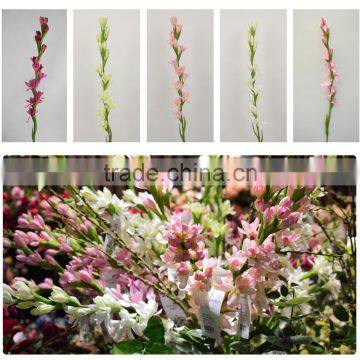 green tuberose flower 27875P