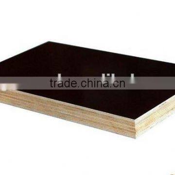 Timber-film Faced Plywood photo-4