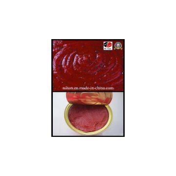 2014 Hot Nilton Ketchup photo-2