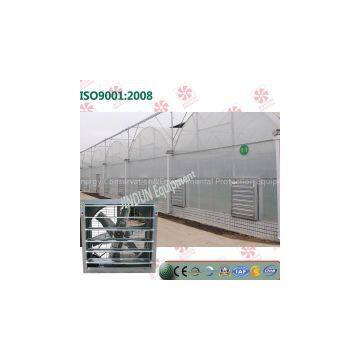 Galvanized Heavy Hammer Exhaust Fan for poultry