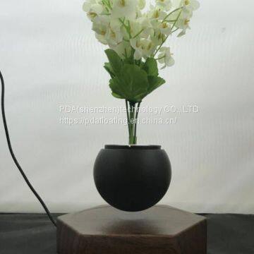 Hexagon Magnetic Floating Leivtate Flying Air Bonsai Pot Planter Tree