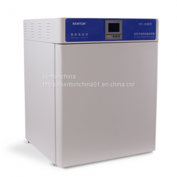 Laboratory equipment air Blast Heating Incubator-303AS,Storage bacteria, biological culture