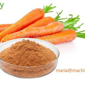 Dehydrated Carrot Powder Factory Price