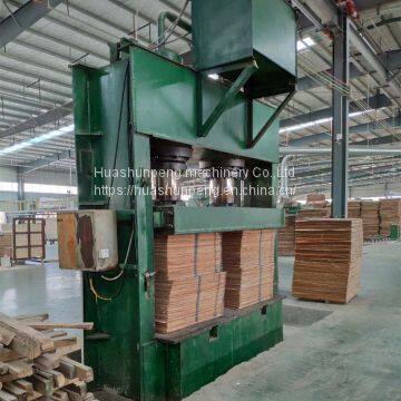 400 Ton Cold Press Wood Veneer Decorative Board Artificial Board Joinery Board photo-5