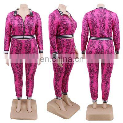 YF1217 Hot Sell Multi Color Women 2 Piece Set Clothing Autumn Two Piece Outfit Women Fall Zipper Coat Plus Size Two Piece Set photo-5