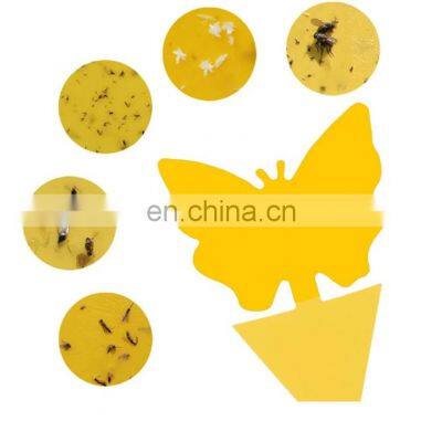 Low Price Wholesale Agriculture Flower Shaped Bug Board Fly Trap Bed Bug Glue Fly Trap