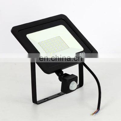 Aluminum Floodlight 10W 20W 30W 50W 100W Induction With Adjustable PIR Sensor Reflector Floodlight