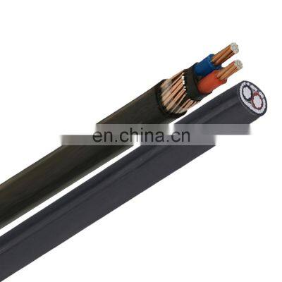 600V 1000V Alambre electrico cable concentrico 2x6 2x4 2x10 2x16 2x6+1x8 AWG Xlpe Cable Concentrico