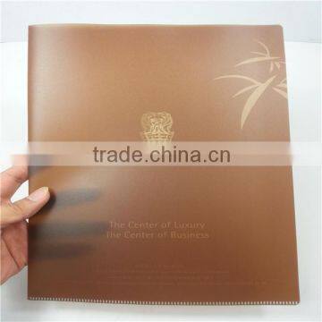 cheap price a4 size custom plastic file folder with full color printing RYX-L551