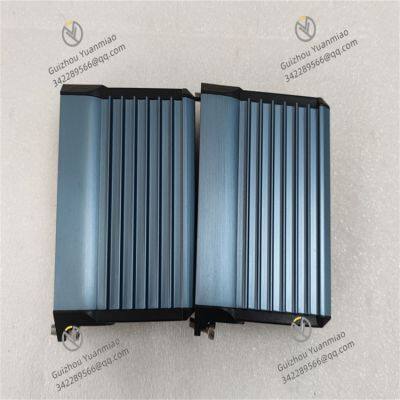 Foxboro FEM100 P0973CA Module d'extension de bus de terrain photo-3