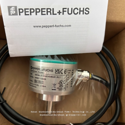 German Pepperl+Fuchs Encoder ENI58IL-S10CA5-4096UD1-RAA Original Spot photo-2