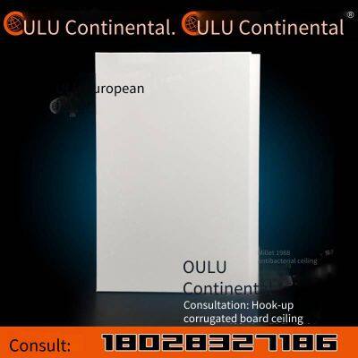 Oulu Decorative Products - Perforated Aluminum Ceiling Panels for Offices photo-3