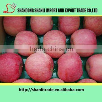 Fresh red organic apple/Grade AAA fuji fresh apple for sale